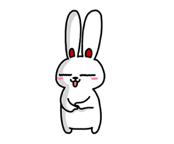 19043576