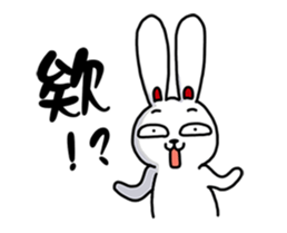 19043581