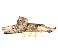 19044223