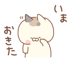 19044608