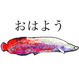 190447127