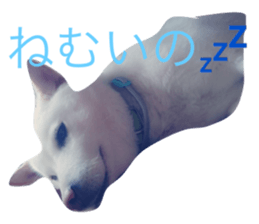 19045377