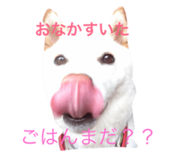 19045378