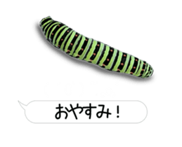 190458776