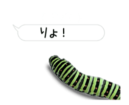 190458777