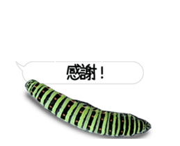 190458781