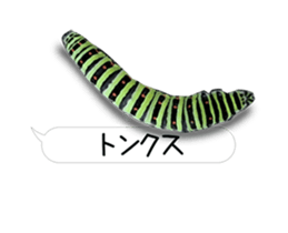 190458782