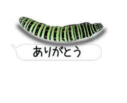 190458783