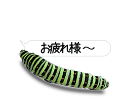 190458784