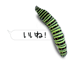 190458785