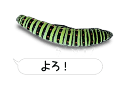 190458786