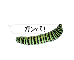 190458787