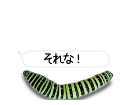 190458789
