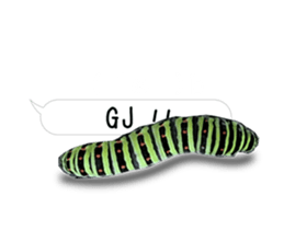 190458790