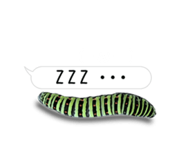 190458791