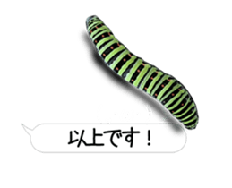 190458793