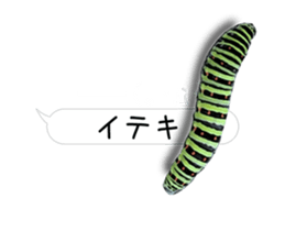 190458794