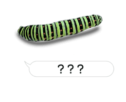 190458796