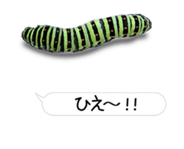190458797