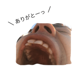 19058149