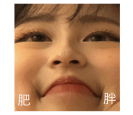 190601644