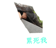 190603461