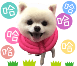190607942