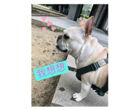 190608206