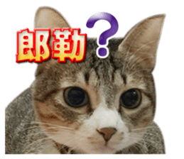 190612766