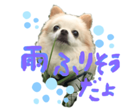 190613727