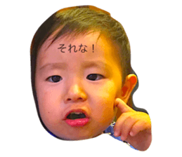 19064067