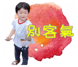 19066314