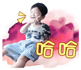 19066320