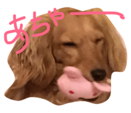 19066569