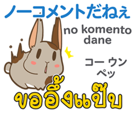 19070136