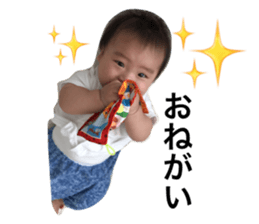 19070367