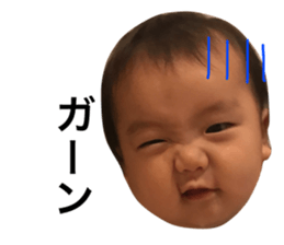 19070376
