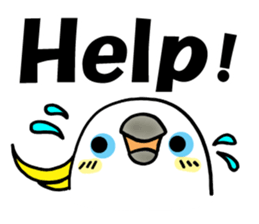 1907074