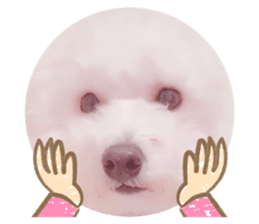 190740018