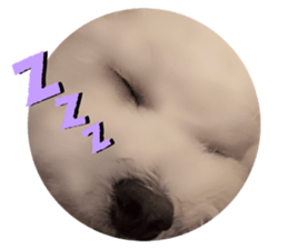 190740020