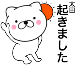 19077920