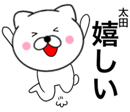 19077944