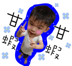 19079204