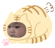 190792325