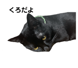 190816355