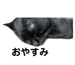 190816357