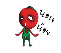 19082480