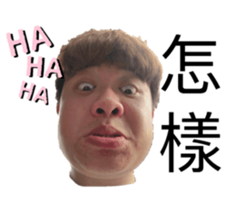 190833331