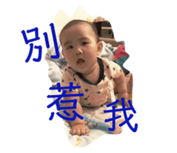 190844307