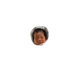 19084809